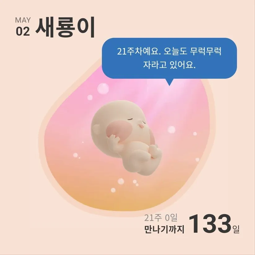 오늘 21주차 접어들었어요!