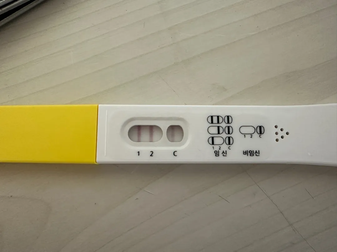 어제부터 입덧이 심해서