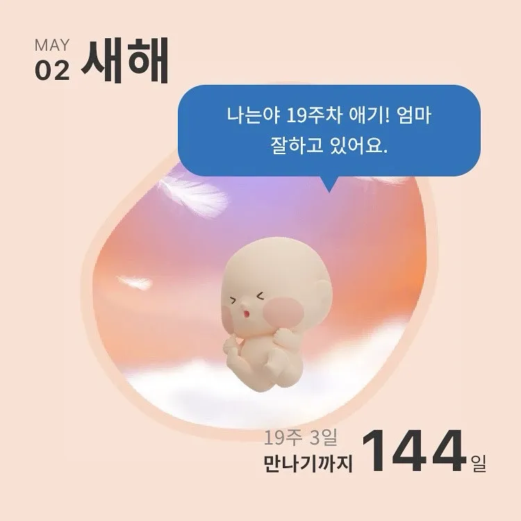 19주차 반이에여!인스타 맞팔해요
