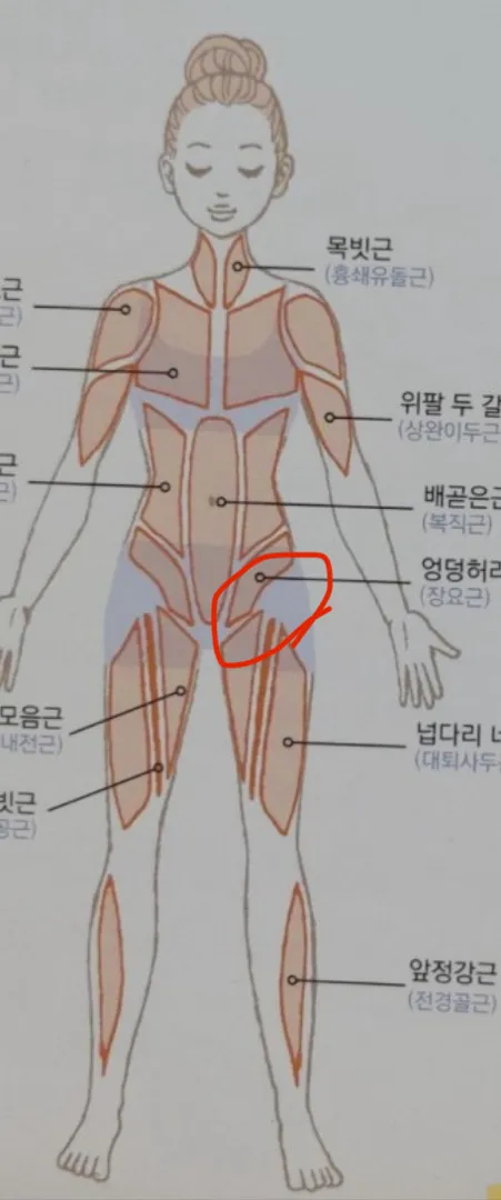 고관절(?) 통증