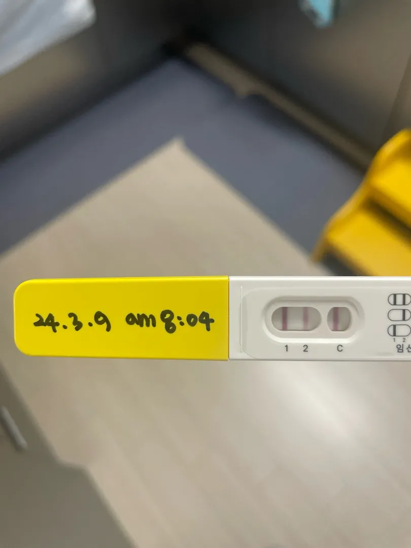 이정도면 이제~?