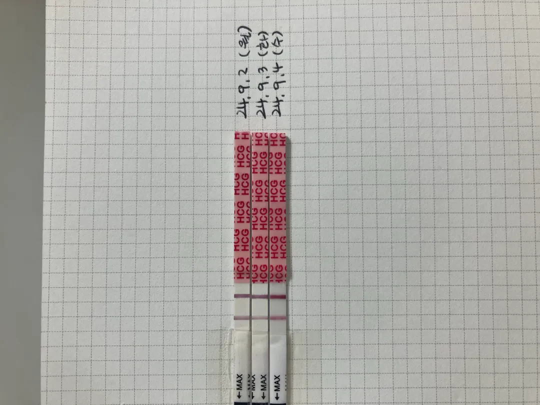 역전 언제볼수있을까요?!