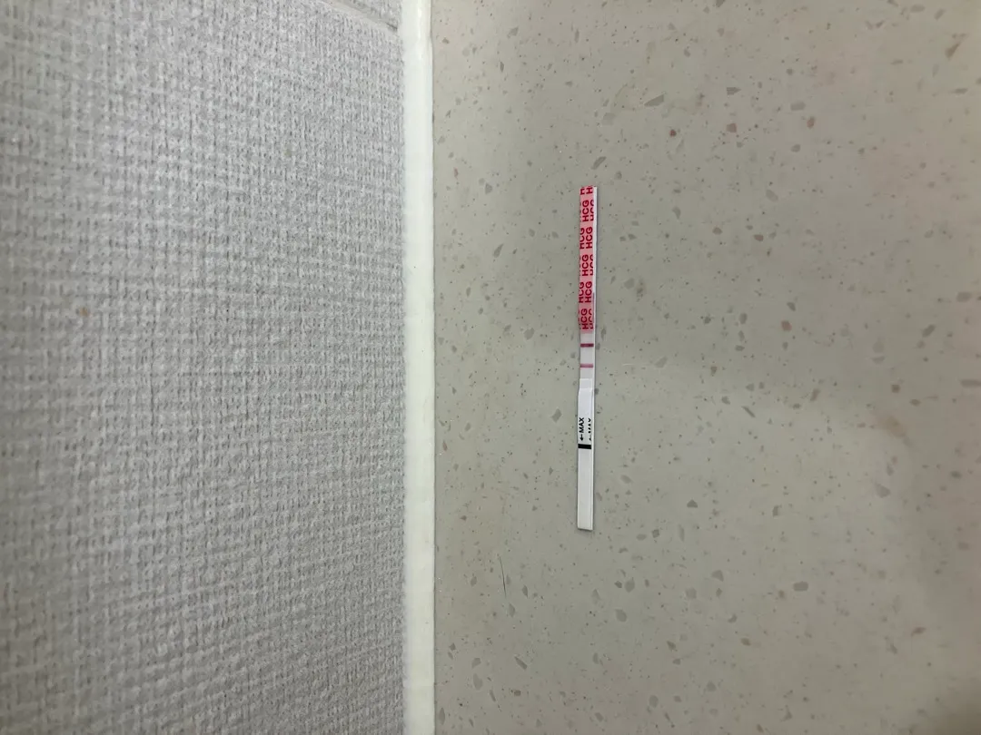 지금 초음파 확인 가능할까요?