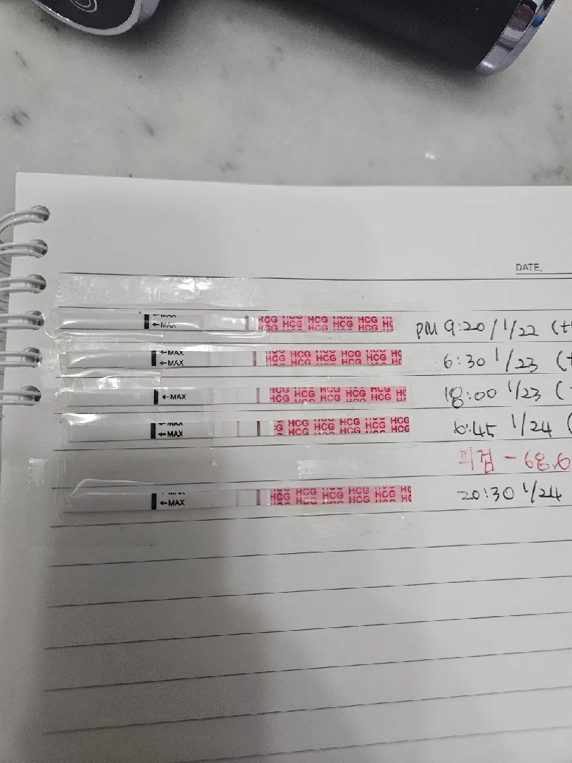 시험관 후 임테기와 1차 피검