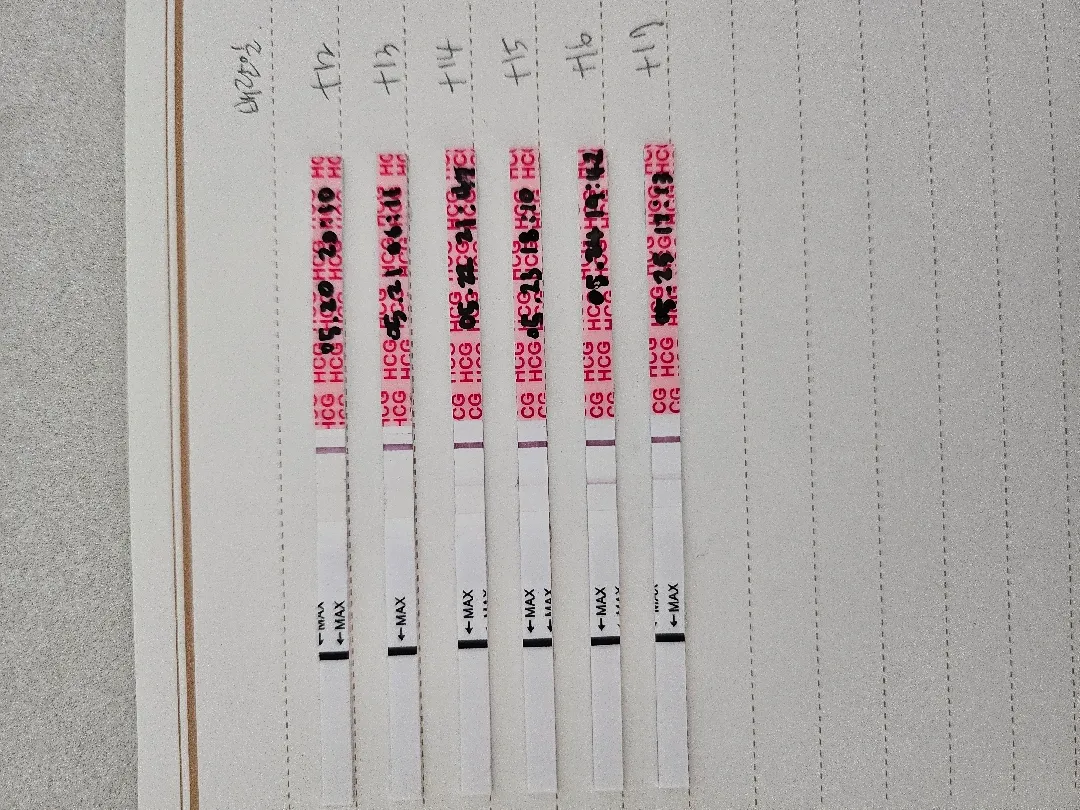 임테기 진해지는 속도..