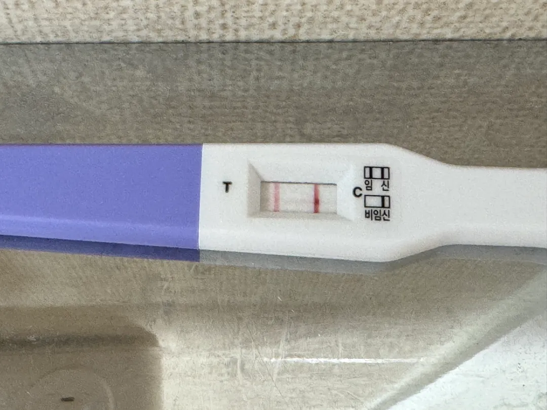 테스트기 두줄