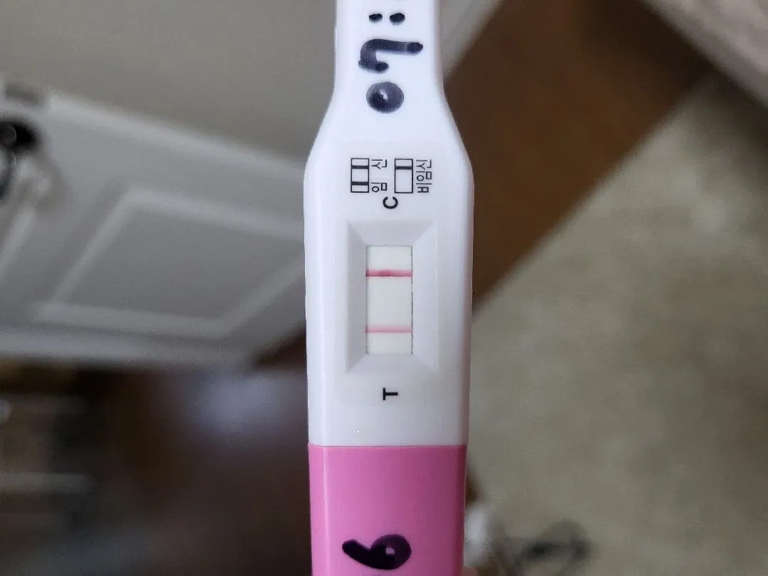 초음파 보고왔어요!