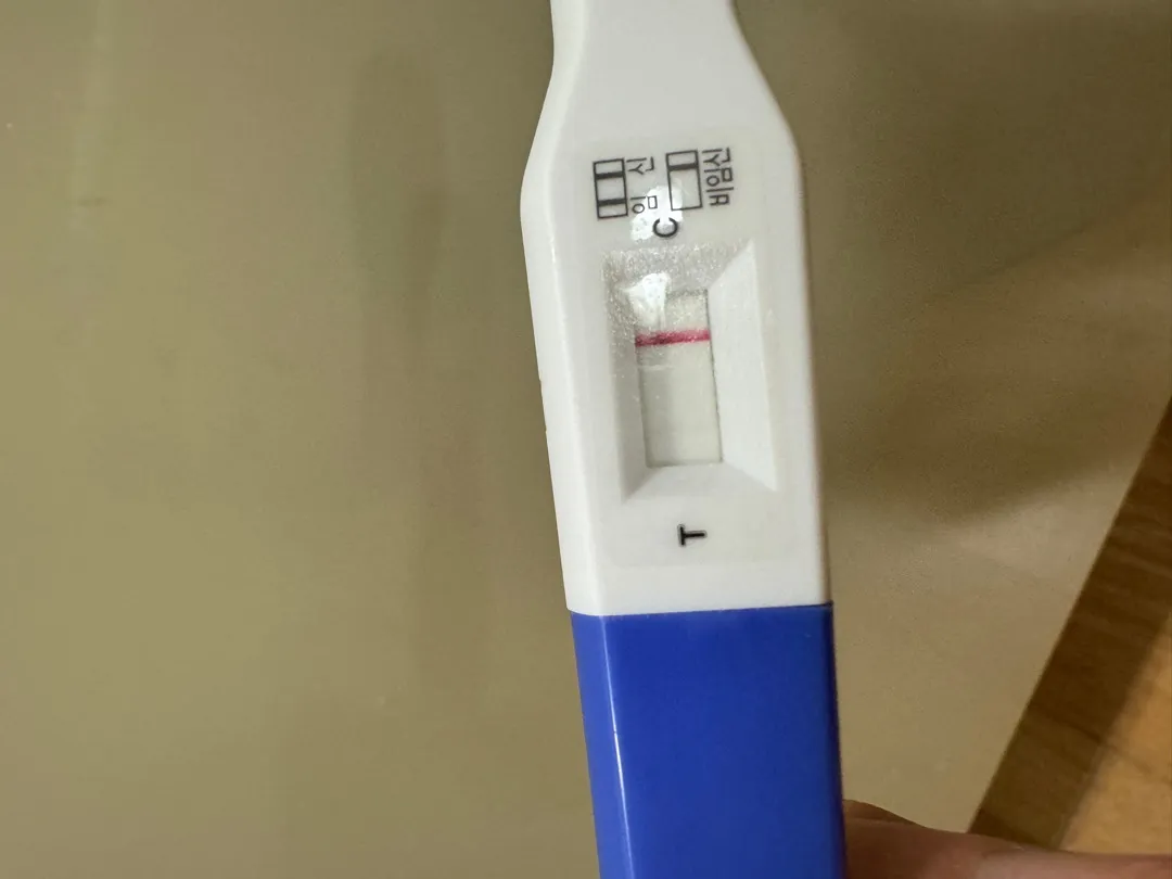 임테기 시약선 일까요?