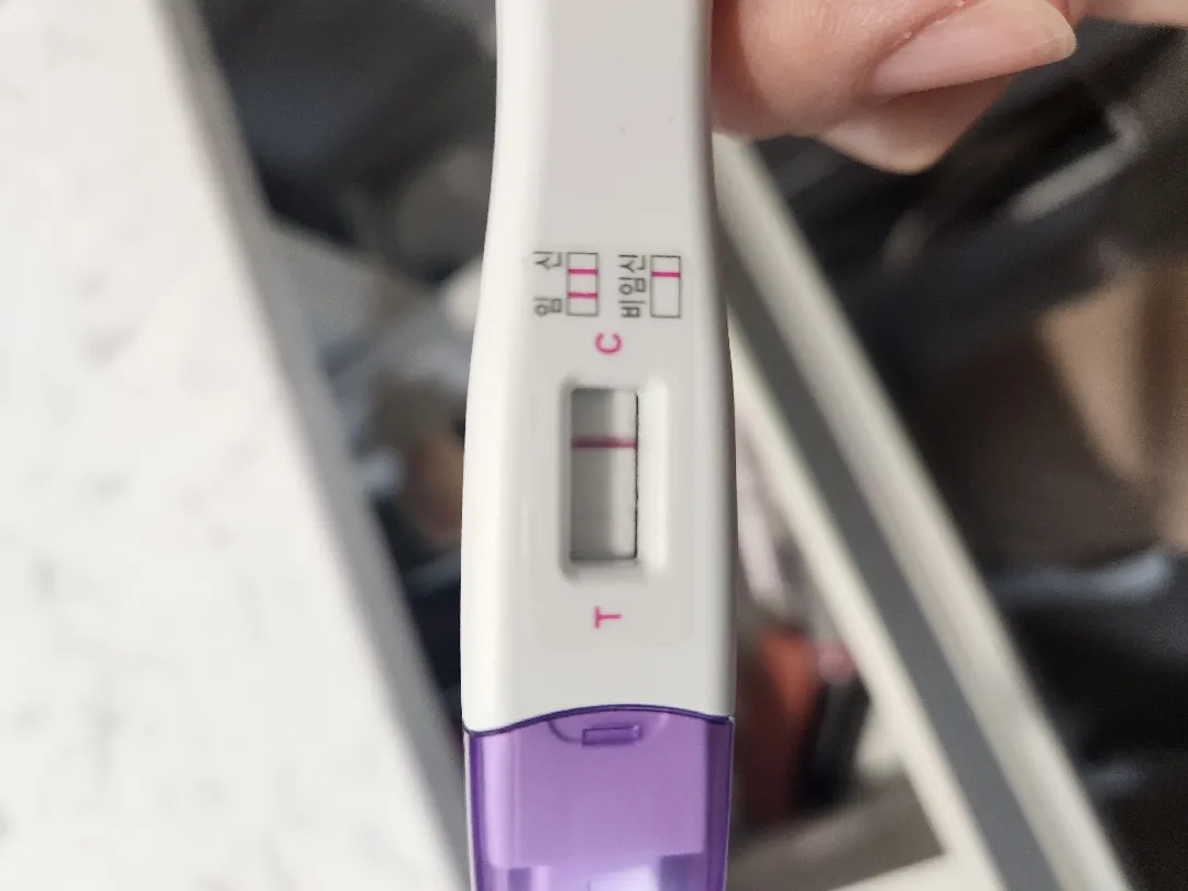 두 줄 맞을까요!!?