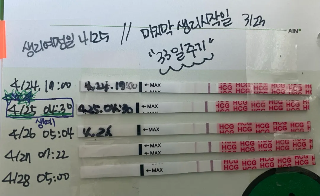 병원에 언제 가야 아기집이 보일까요?(계류유산경험있음)
