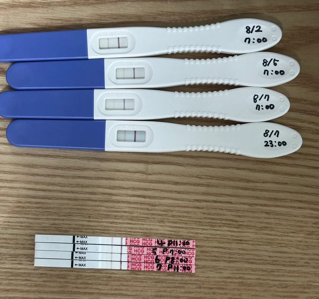 임테기가 안진해지는데 괜찮겠죠 ? 