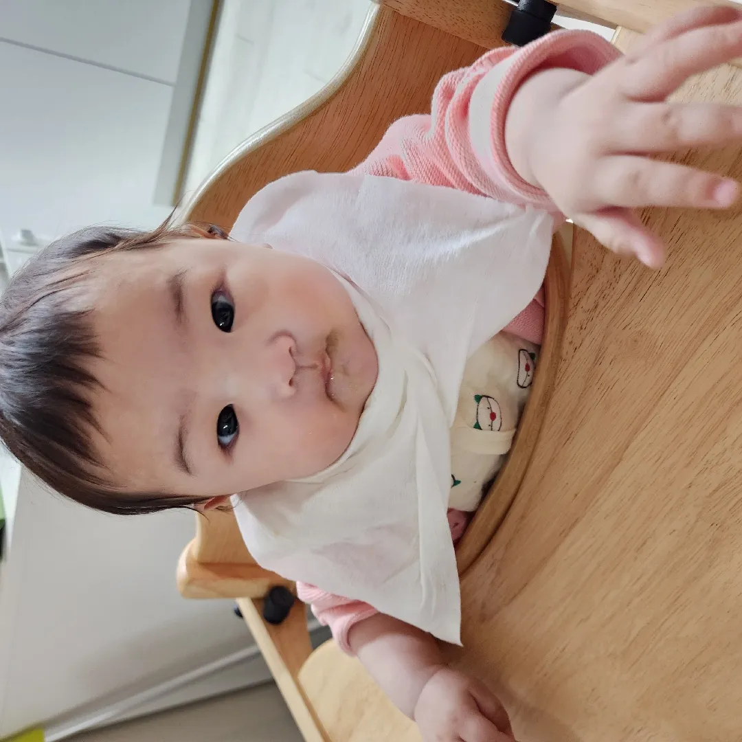 이유식 난리