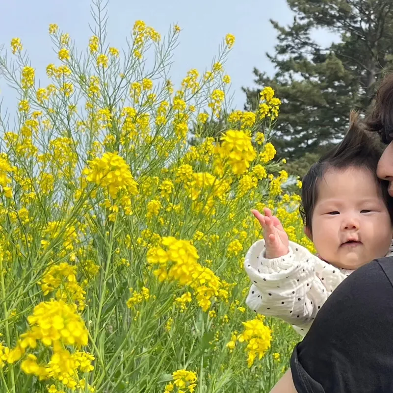 머리가 위로 자라요.