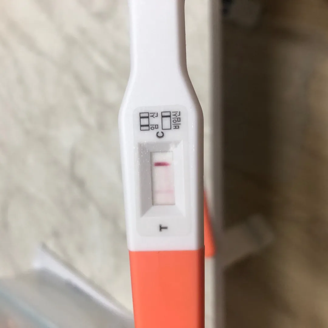시약선일까요?