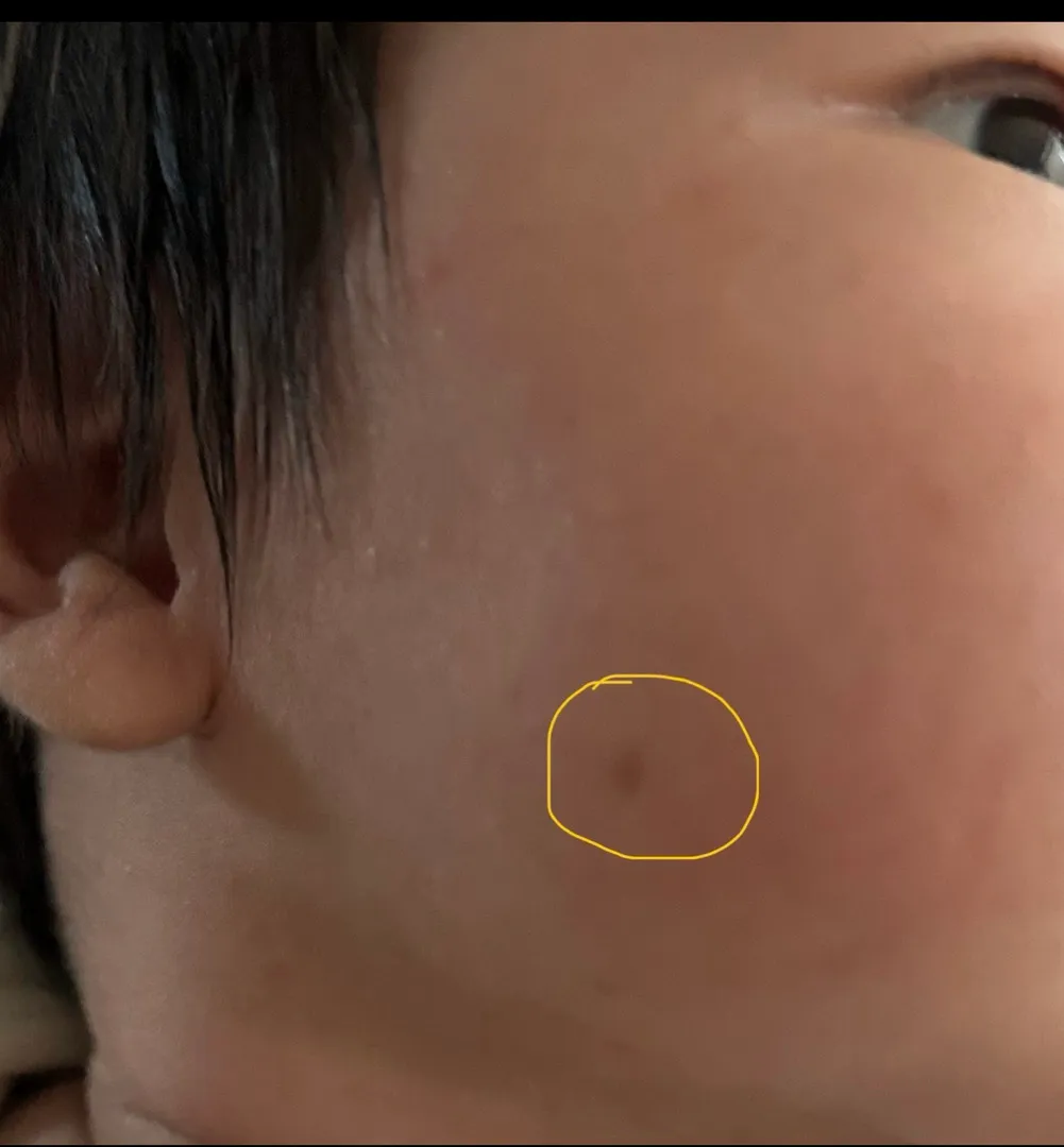 이게 뭘까요?