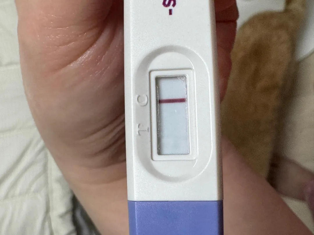 임테기 맞을까요?
