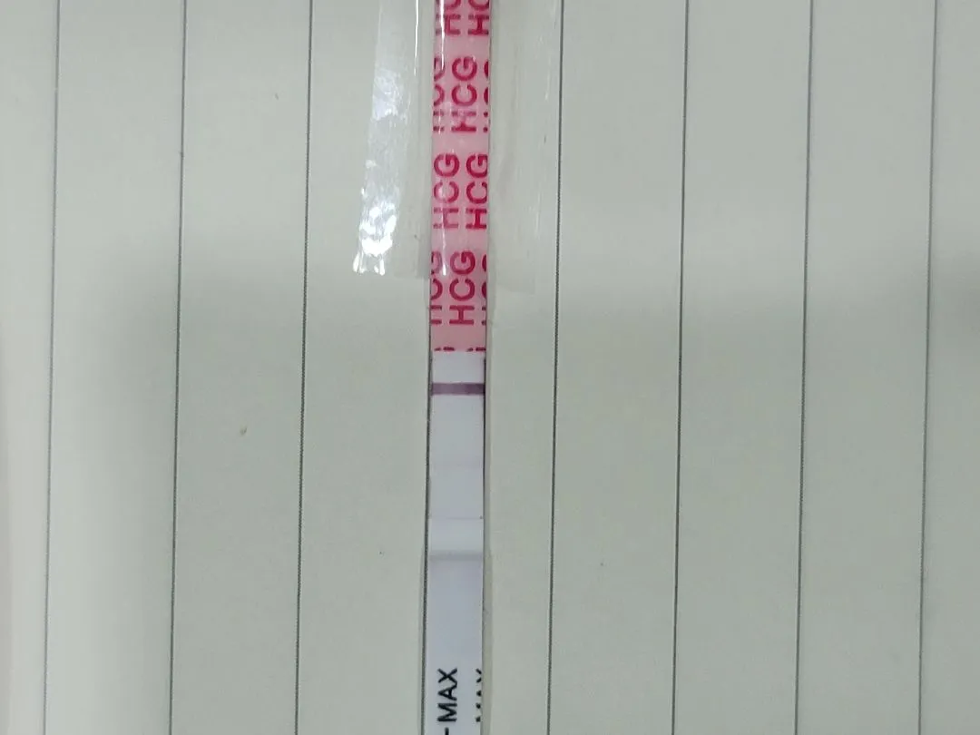두줄맞나요?