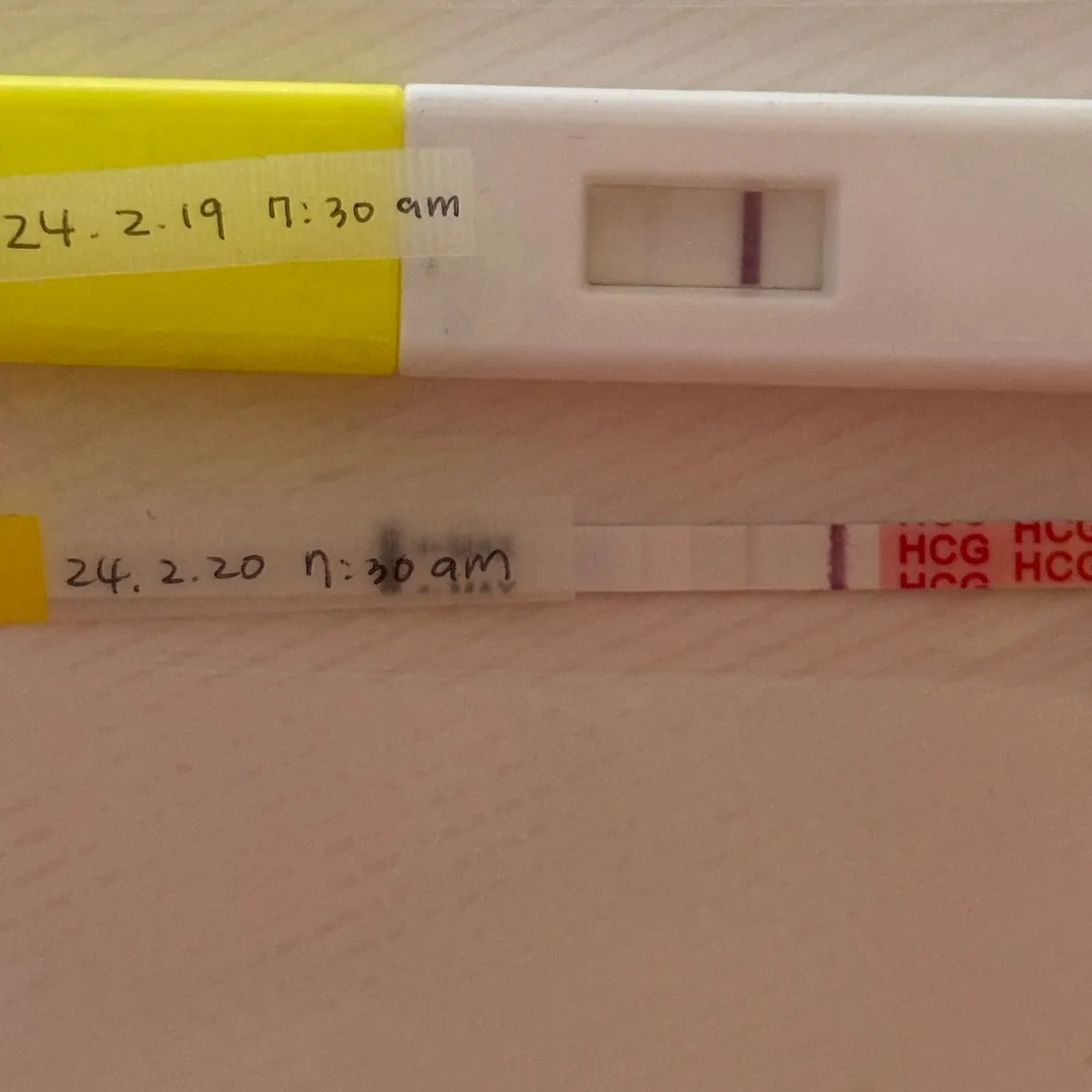 임테기 진하기