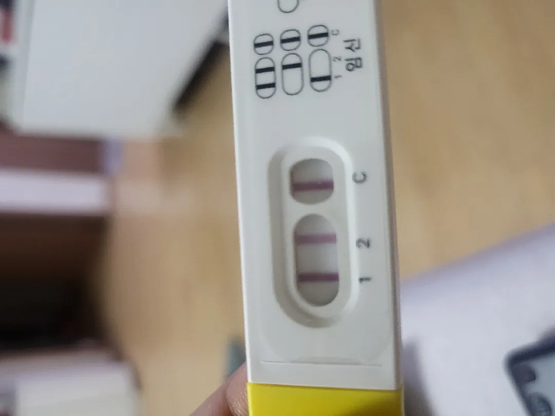 6주 5일인데 파이널 한번 봐주세요..!