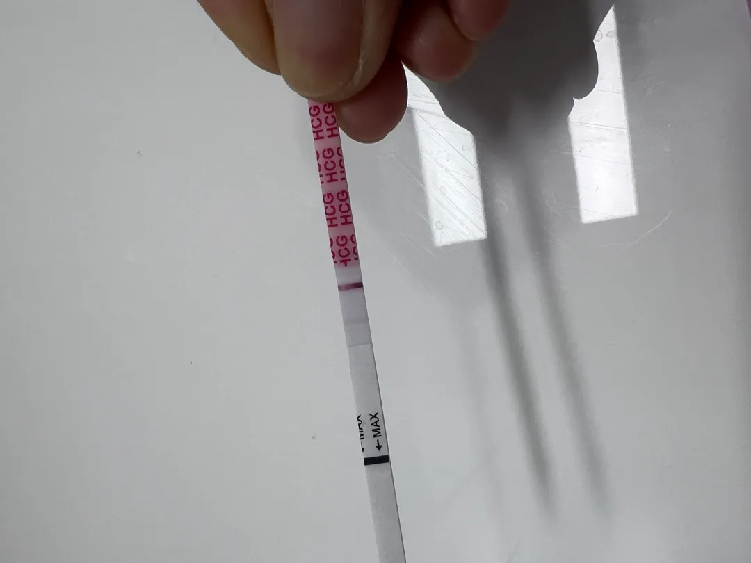 원포임테기