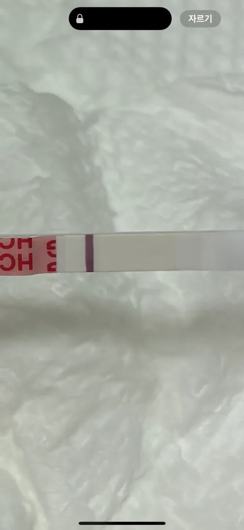 임테기 봐주실수있나요 ㅜㅜㅜ?