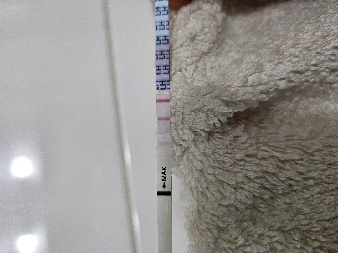 배란테스트기봐주세옹