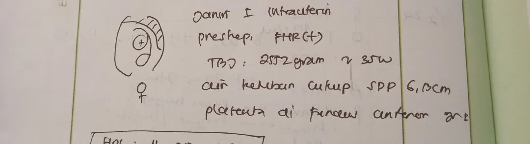 Hsil usg kemaren
