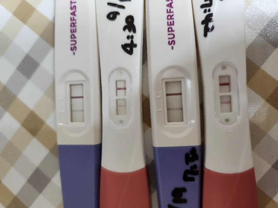 임테기 진하기