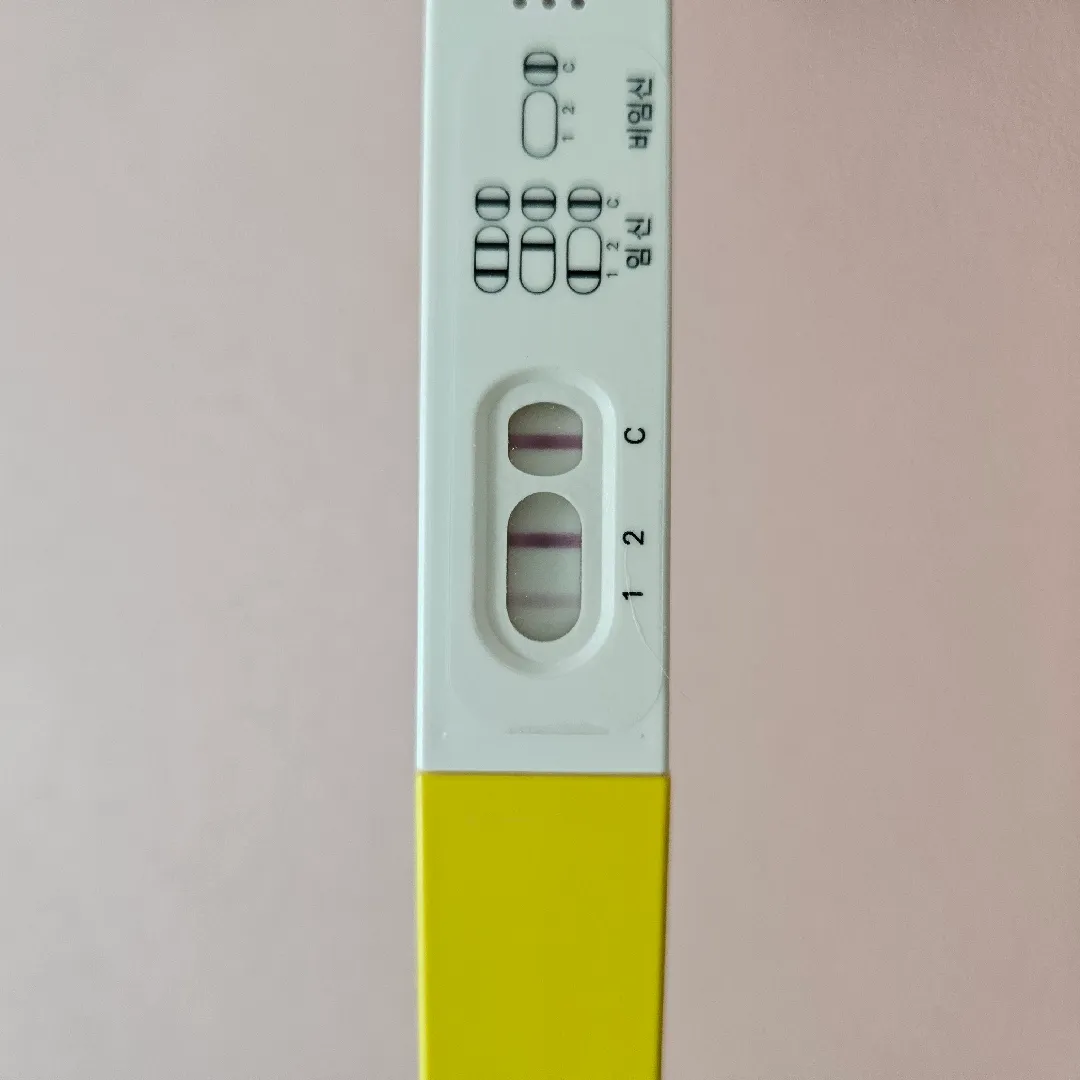 5주 0일 파이널임테기 이 정도면 보일까요?