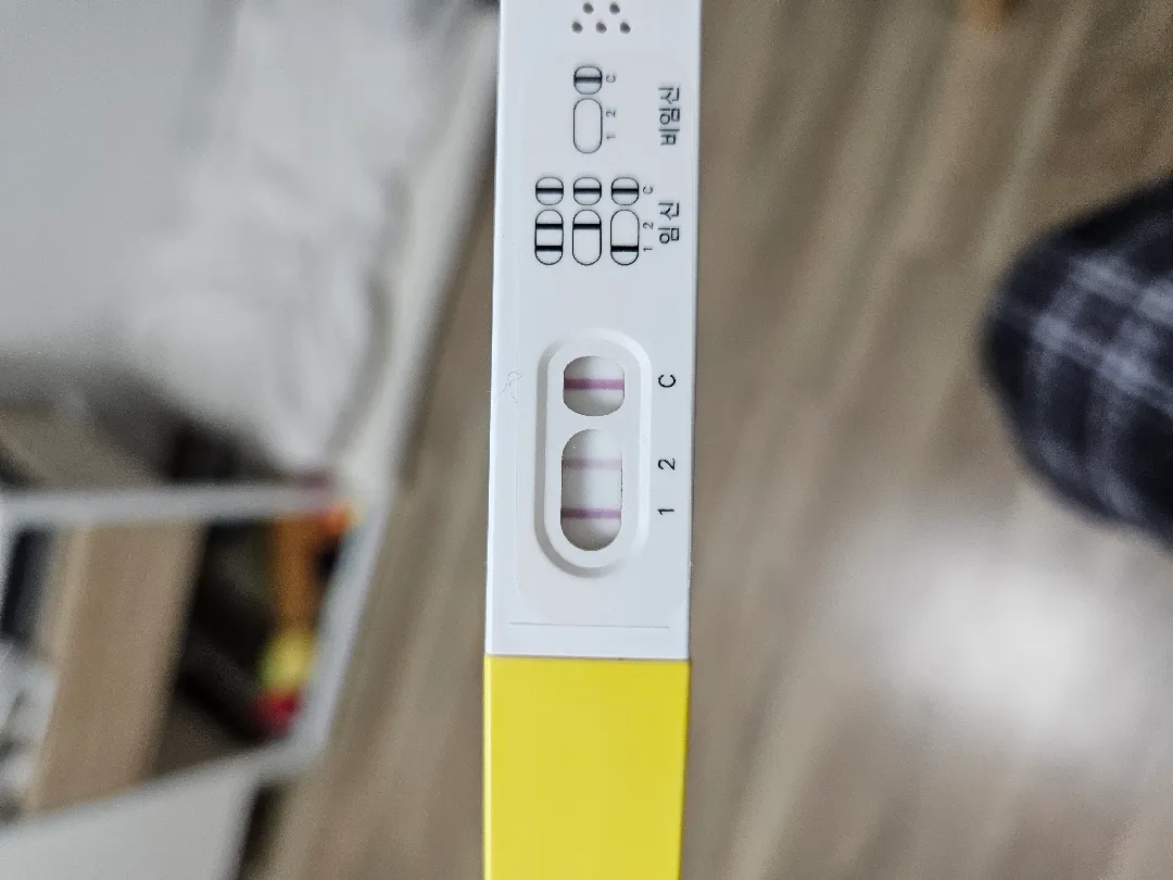 궁금하고 걱정되네요..
