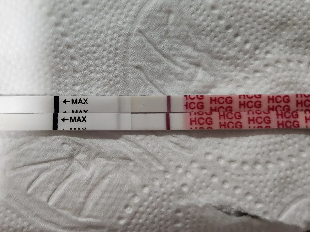 작년 10월 화유 후