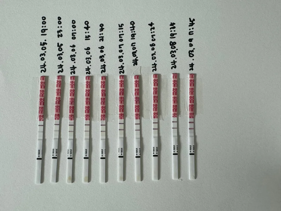 4주 6일차 