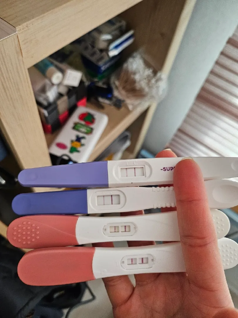 자궁용종제거후 바로임신