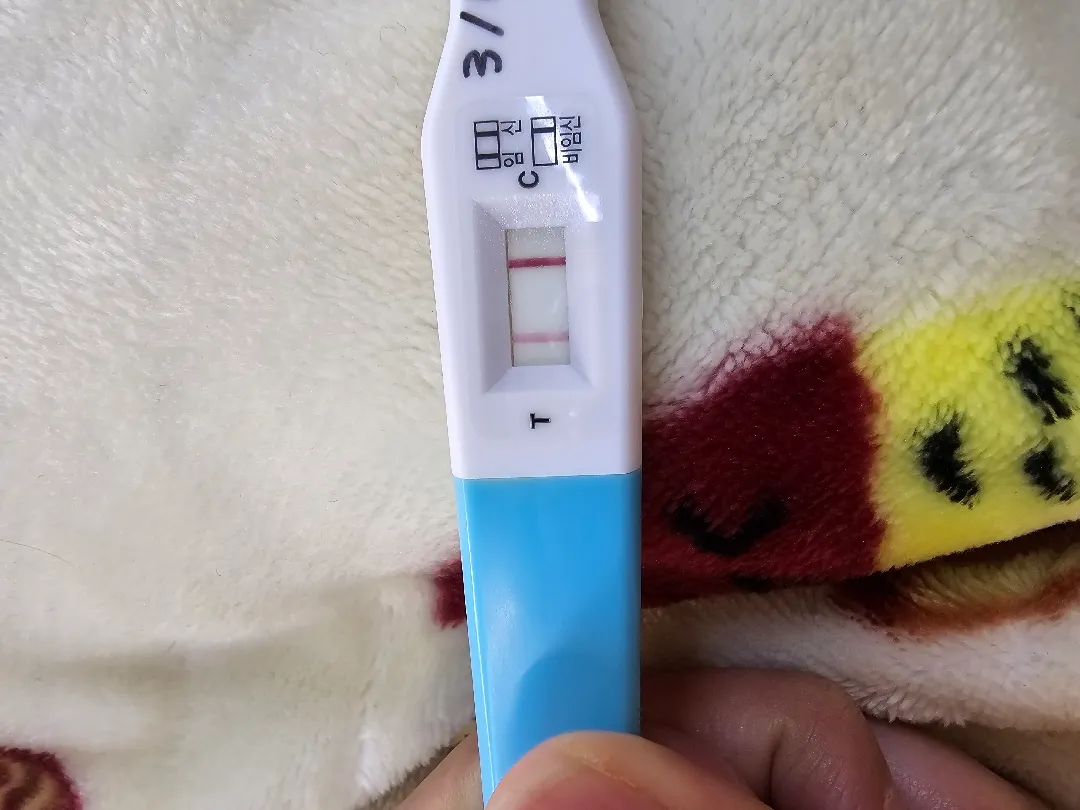 임테기