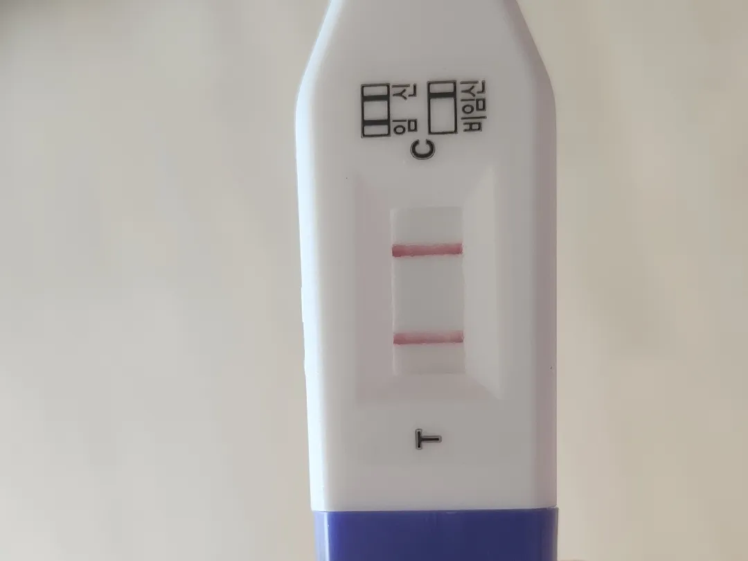 내일 병원 가는데 아기집 보일까요
