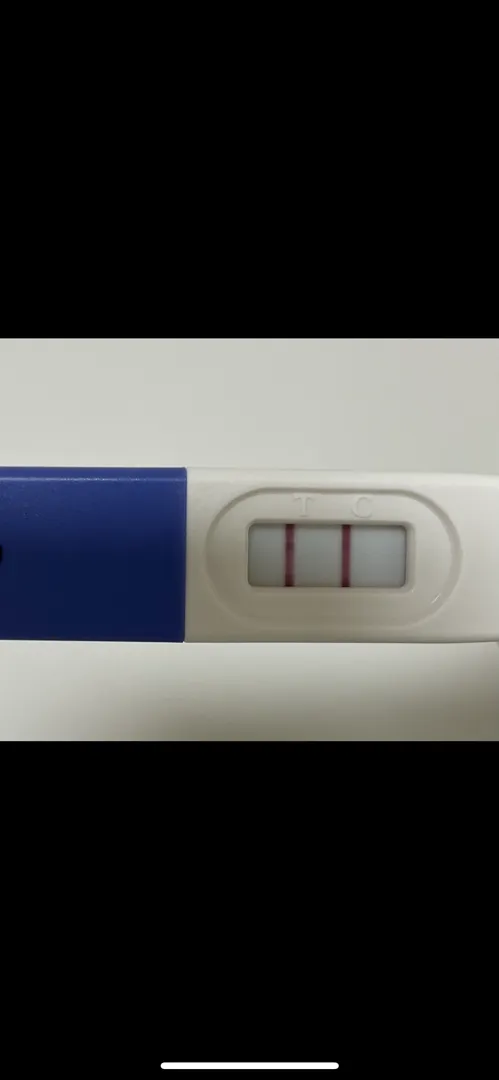 임테기 진하기