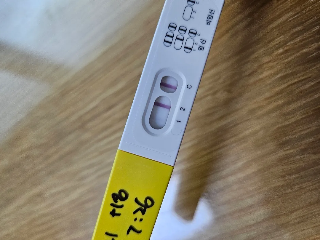 아기집