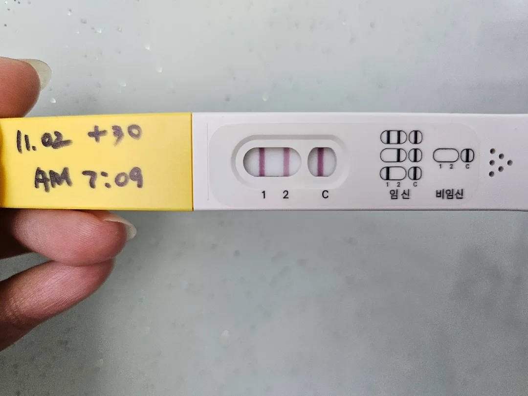 역전중인거겠죠?
