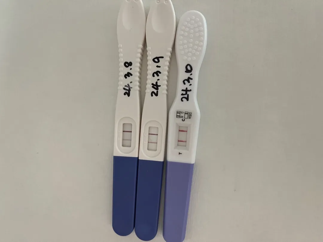 드디어 임신이 됐네요..
