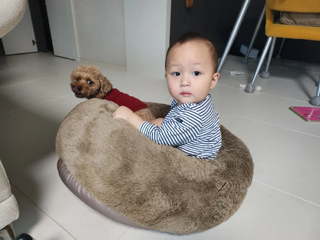 애개육아 현장