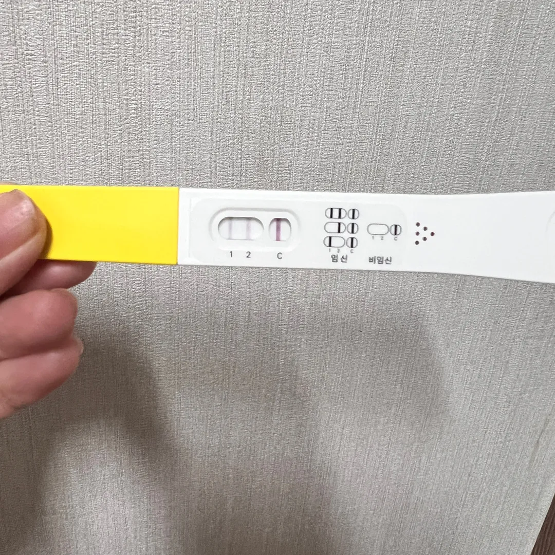 파이널 임테기