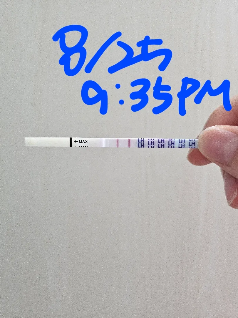 배테기좀 봐주세요