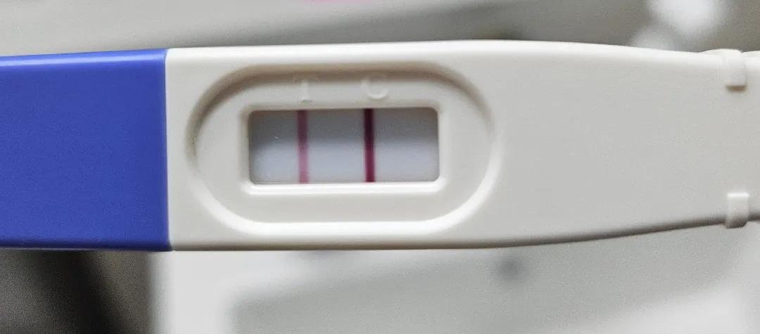 임테기 한번 봐주세요ㅠㅠ