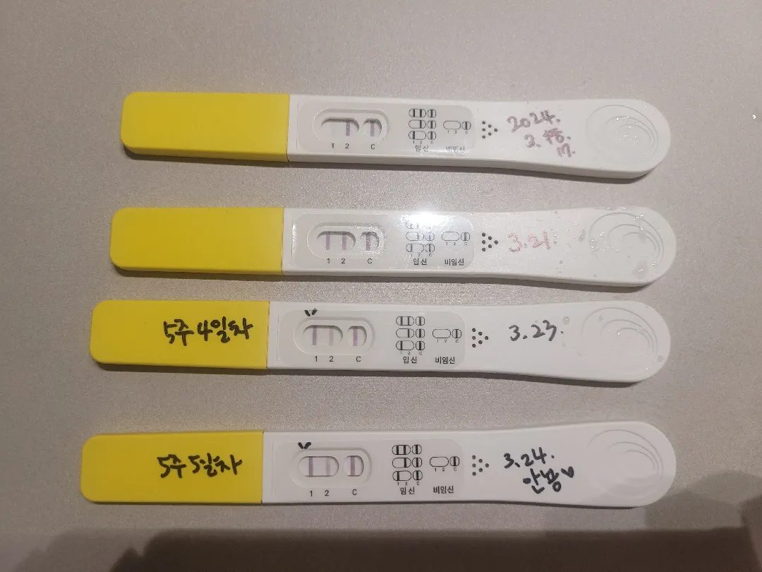 세줄임테기 신기