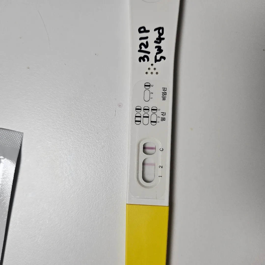 5주 파이널 진하기