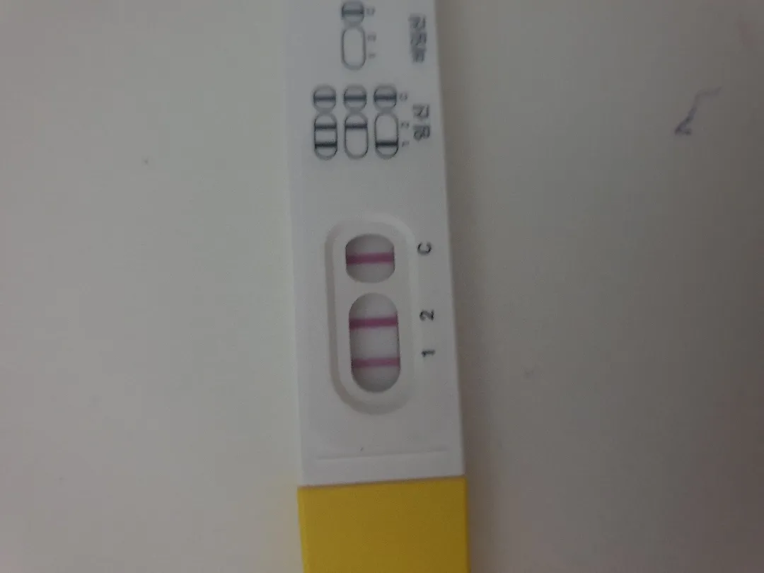 5주 6일 파이널 엄청 찐하네요