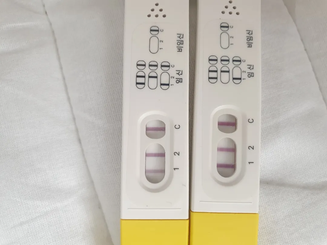 파이널 하루 차이로 이만큼!!