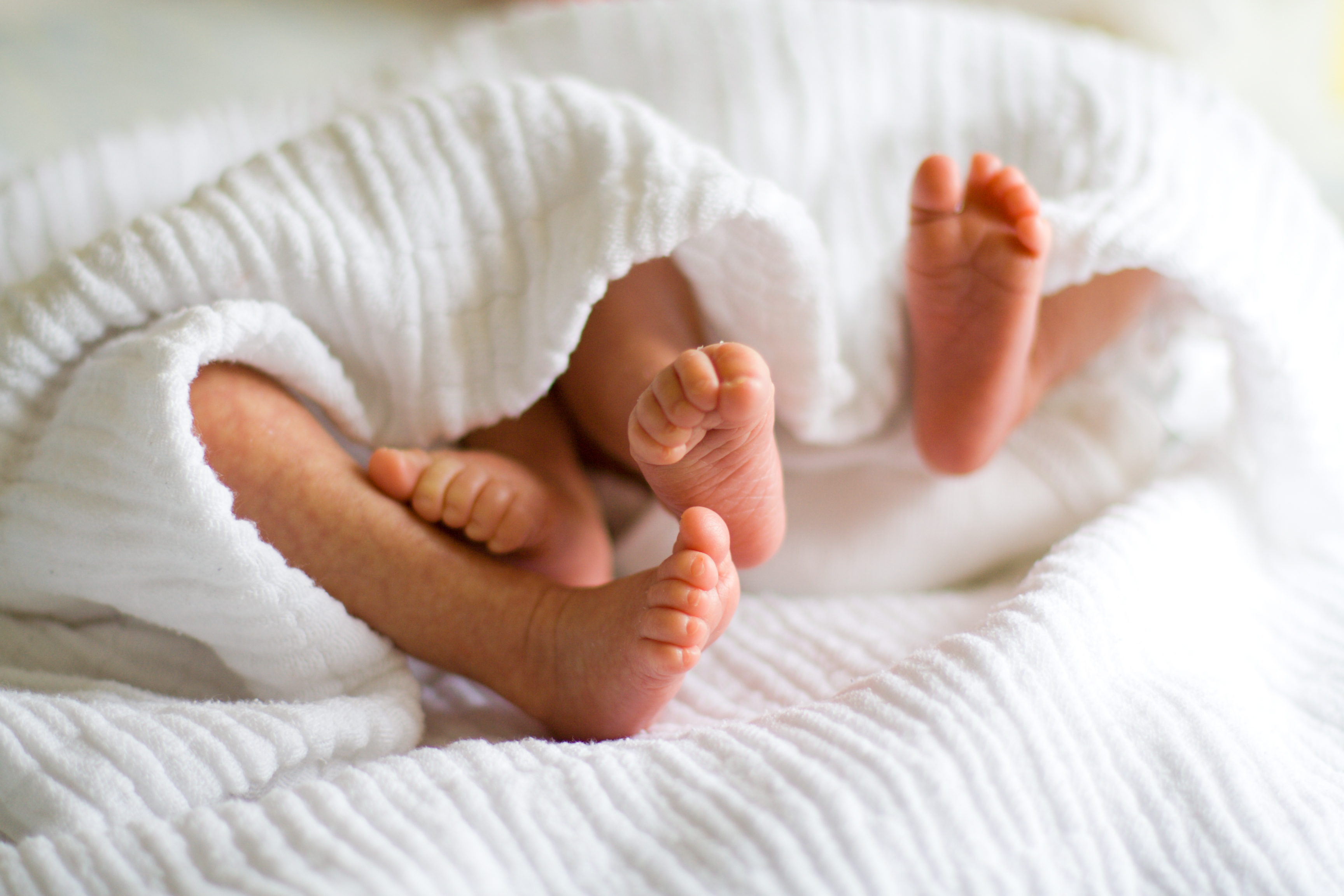 쌍둥이도 태아보험 가입이 되나요?