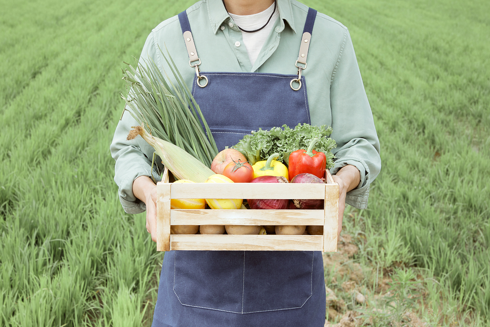 경북이 채워주는 건강한 식탁, 임산부 친환경 농산물 꾸러미 지원