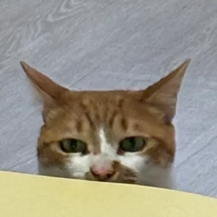 User profile Image